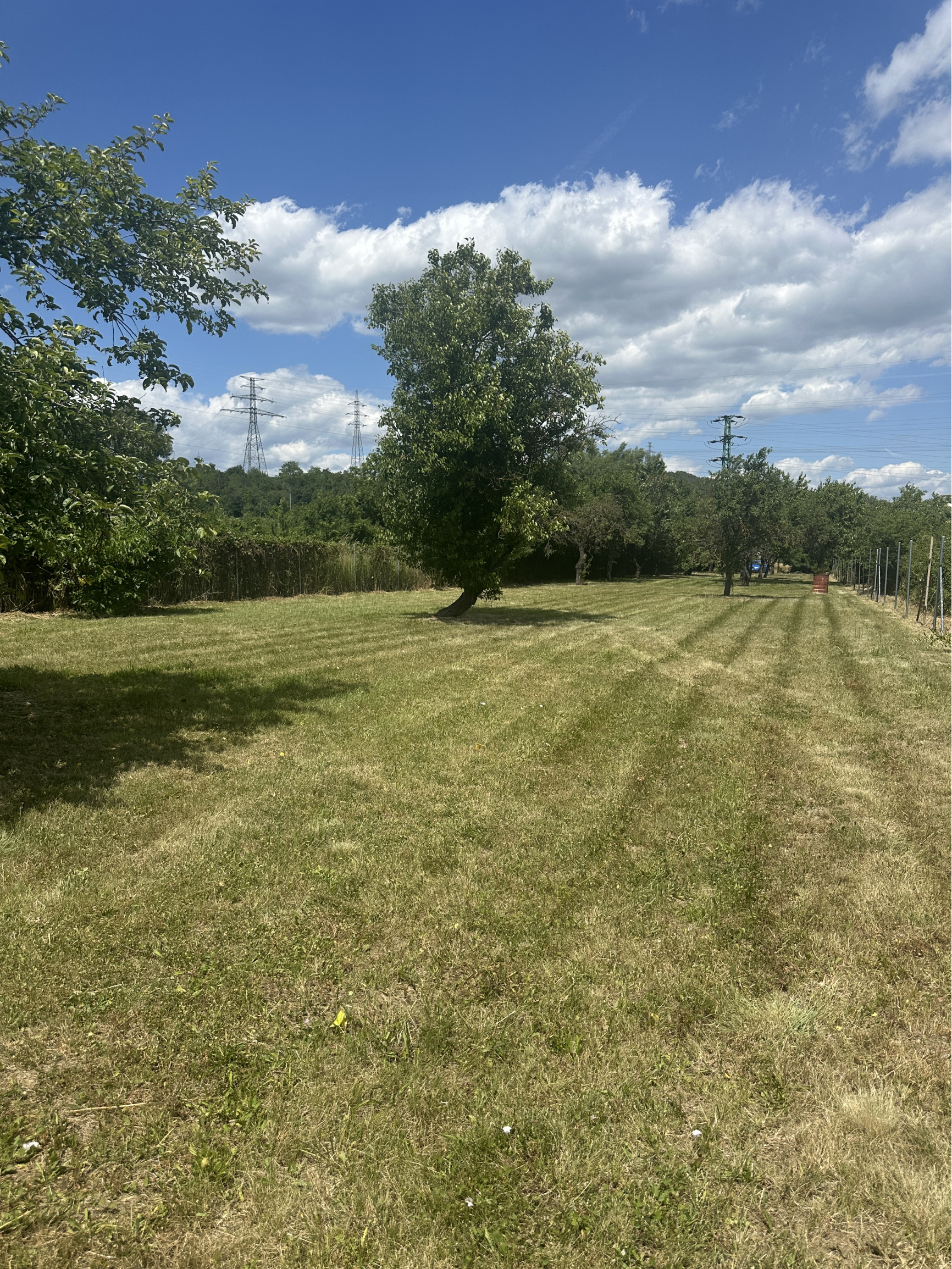 KOLLÁR REALITY ponúka na predaj pozemok v Novom Meste nad Váhom (1554 m2)