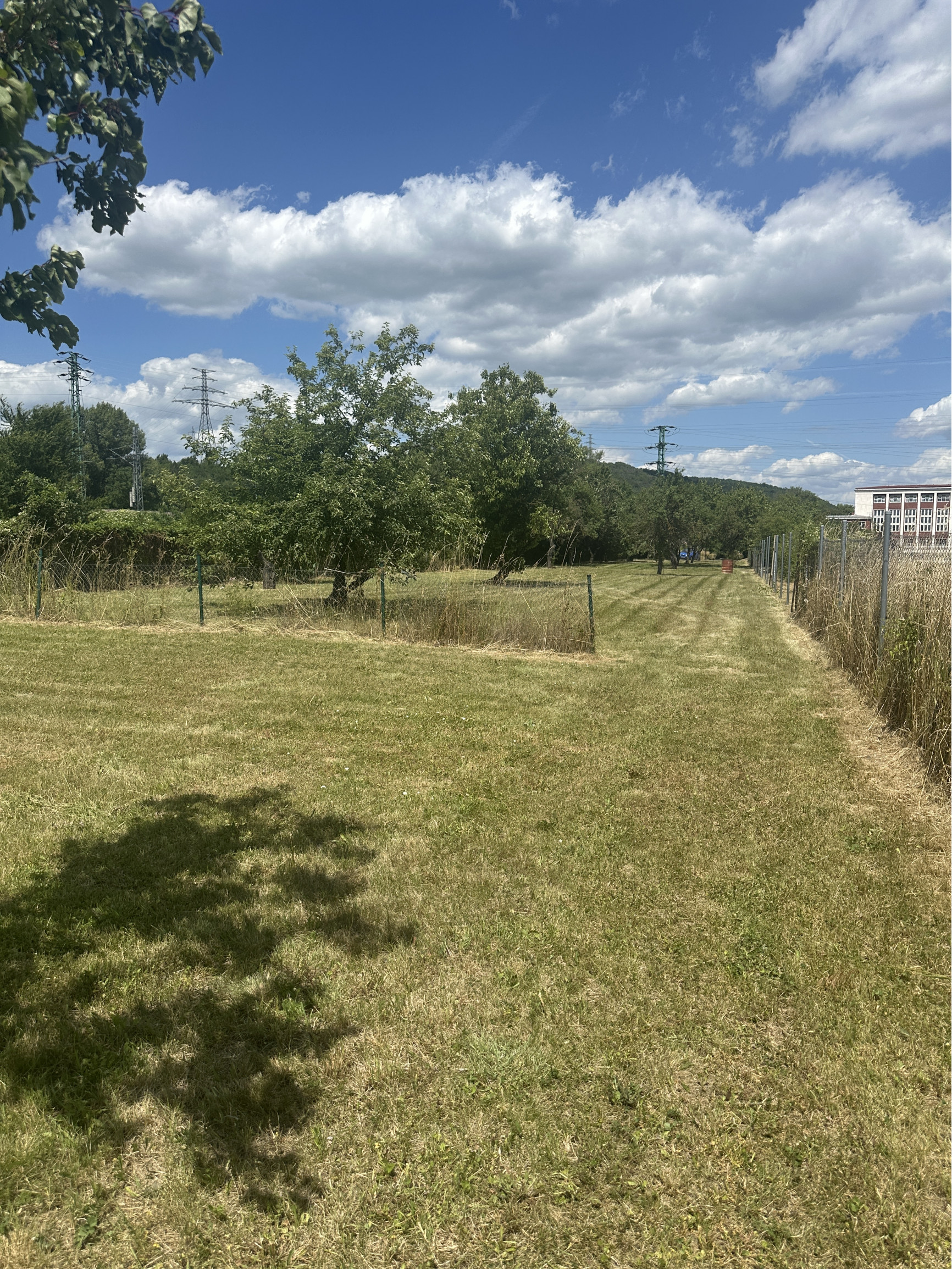 KOLLÁR REALITY ponúka na predaj pozemok v Novom Meste nad Váhom (1554 m2)