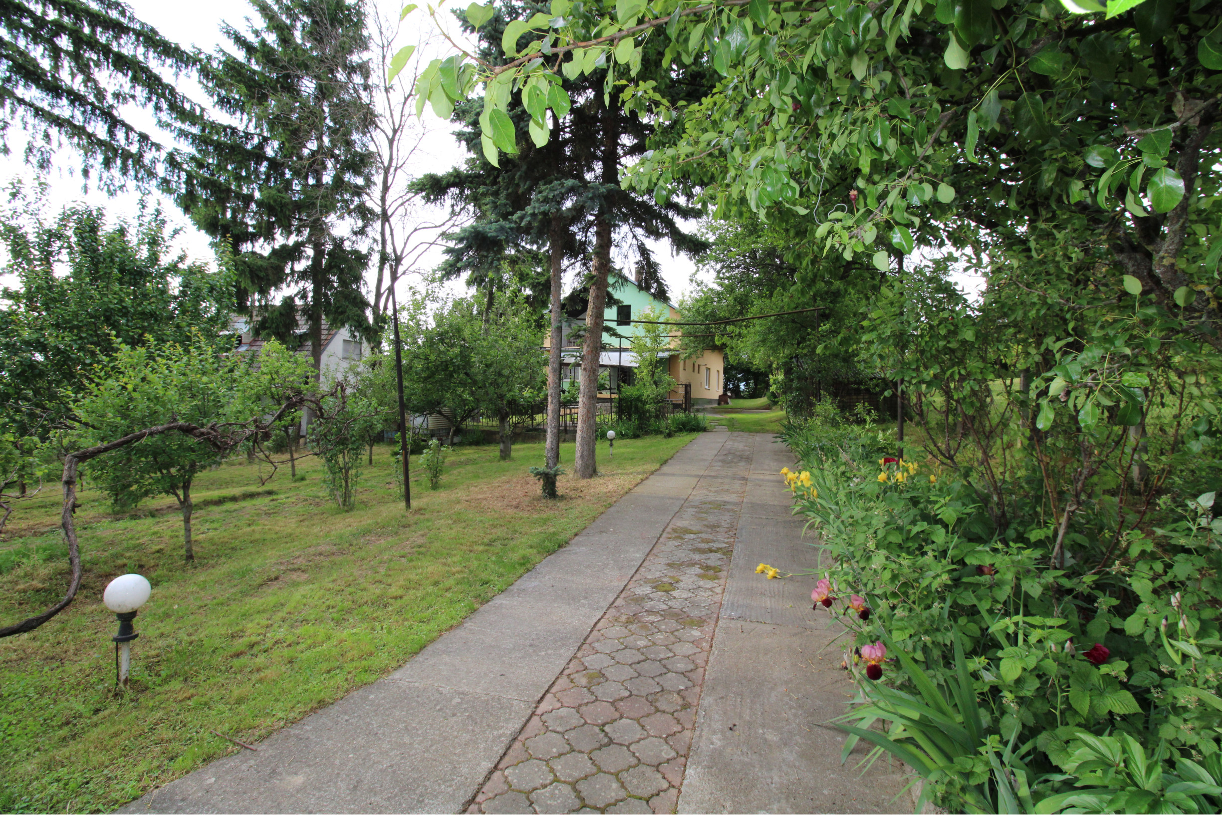 ZNÍŽENÁ CENA - NA PREDAJ - Veľký Rodinný dom Sokolovce