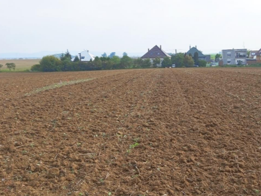 PRIPRAVUJEME NA PREDAJ: POZEMOK V DOLNOM LOPAŠOVE