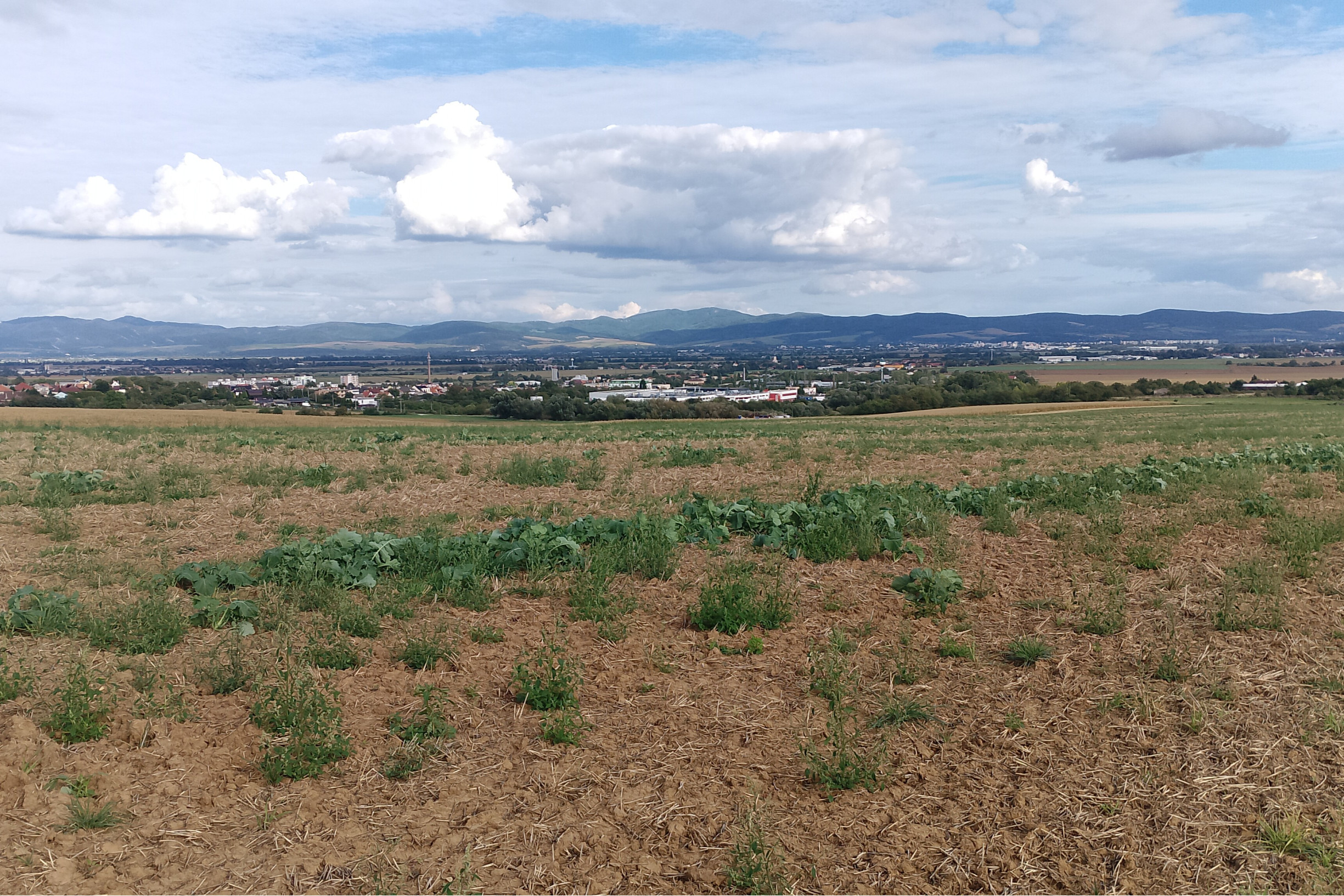 PRIPRAVUJEME NA PREDAJ: POZEMOK VO VRBOVOM