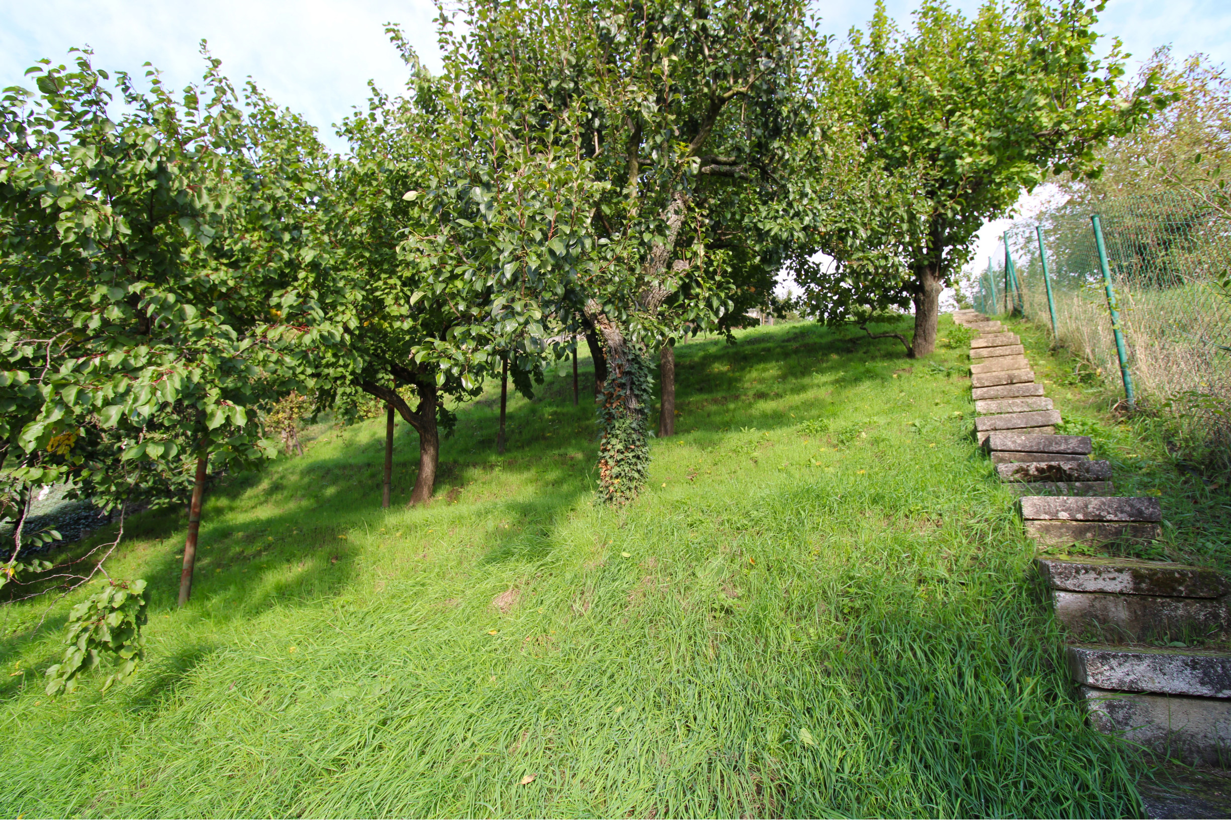 NA PREDAJ - Pozemok s chatkou neďaleko Sĺňavy