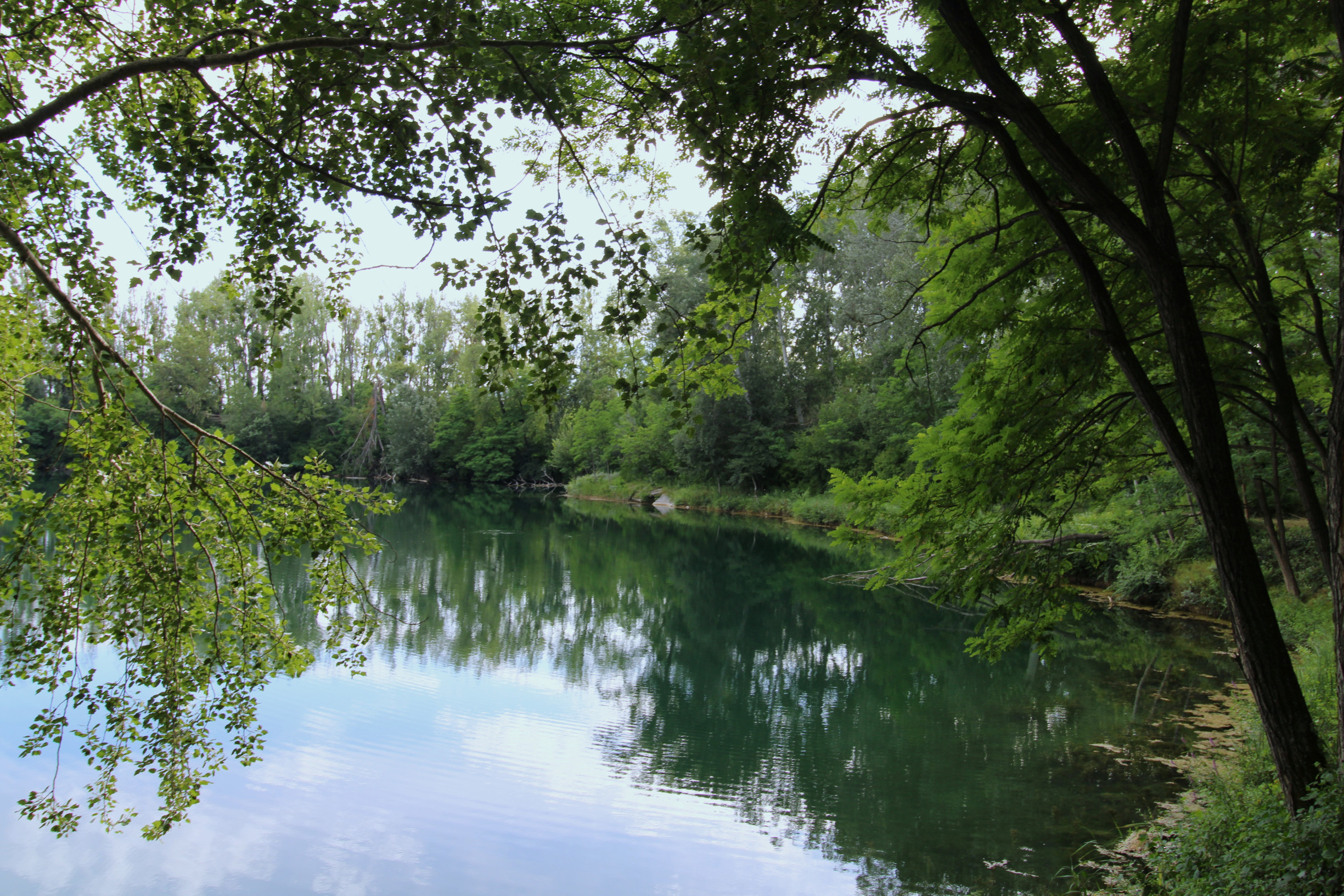 NA PREDAJ - Jazero pri Tomášikove