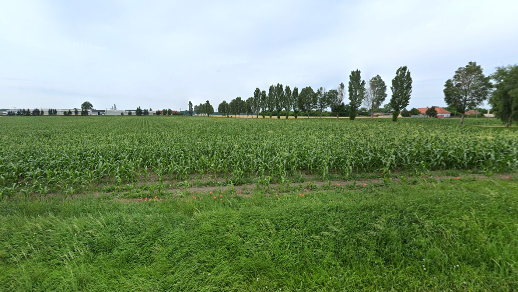 Na predaj pozemok v obci Tomašikovo.