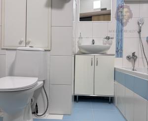 Prenájom 2 Izbový byt Nové mesto nad Váhom 40 m2