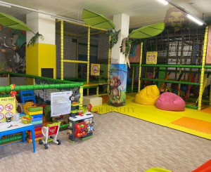 ODSTÚPENIE OD DETSKÉ IHRISKA TAJKO , PRIEVIDZA