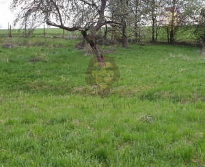 NA PREDAJ KOCURANY , POZEMOK 1214m2