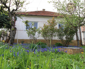 NA PREDAJ - Rodinný dom so záhradou v Sasinkove