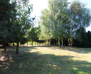 NA PREDAJ -Rodinný dom s veľkým pozemkom v Borskom Mikuláši