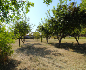 NA PREDAJ -Rodinný dom s veľkým pozemkom v Borskom Mikuláši