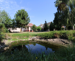 NA PREDAJ -Rodinný dom s veľkým pozemkom v Borskom Mikuláši