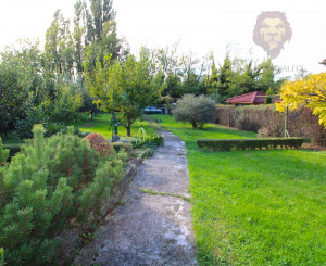 NA PREDAJ - Pozemok s chatkou neďaleko Sĺňavy