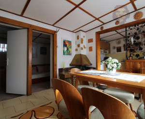 NA PREDAJ - Pozemok s chatkou neďaleko Sĺňavy