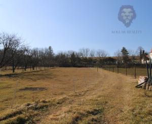 NA PREDAJ - Rodinný dom s veľkým pozemkom - Tepličky