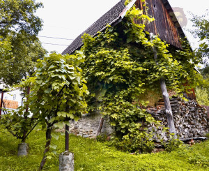 Zrekonštruovaná vidiecka chalupa / rodinný dom na predaj – Lubina, Podkozince