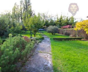 NA PREDAJ - Pozemok s chatkou neďaleko Sĺňavy