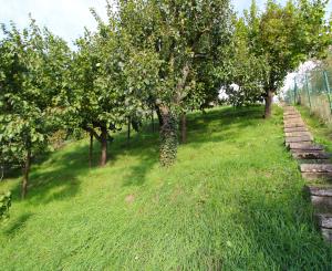 NA PREDAJ - Pozemok s chatkou neďaleko Sĺňavy