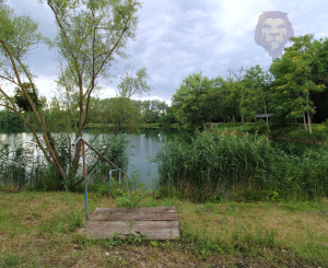 NA PREDAJ - Jazero pri Tomášikove