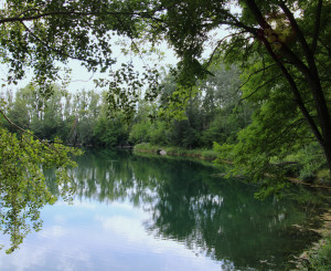 NA PREDAJ - Jazero pri Tomášikove