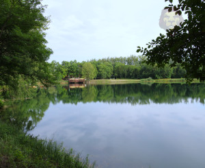 NA PREDAJ - Jazero pri Tomášikove