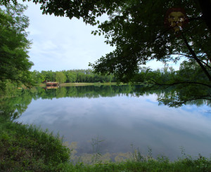 NA PREDAJ - Jazero pri Tomášikove