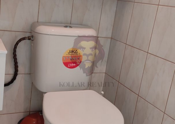 NA PREDAJ PRIEVIDZA , I.BUKOVČANA Mäsiarstvo 79m2