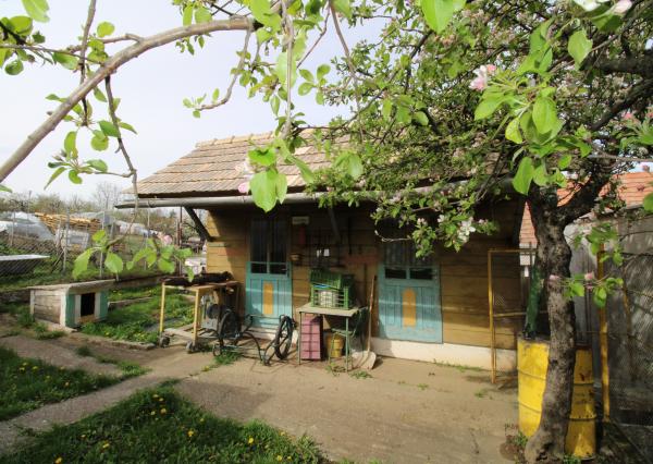 NA PREDAJ - Rodinný dom so záhradou v Sasinkove