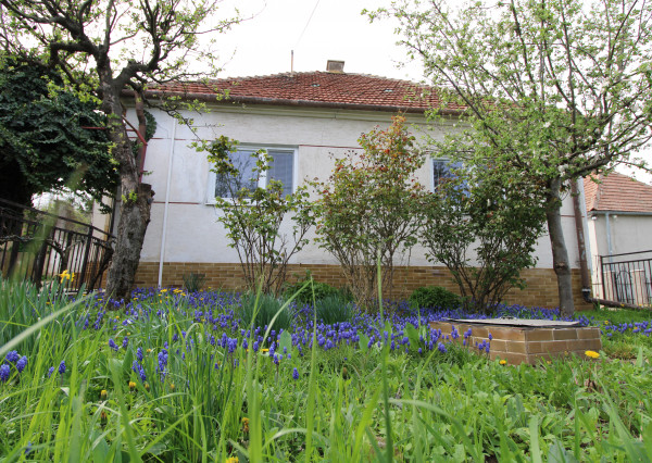 NA PREDAJ - Rodinný dom so záhradou v Sasinkove