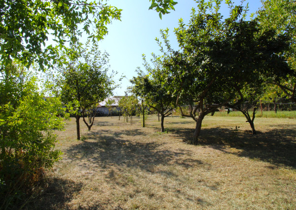 NA PREDAJ -Rodinný dom s veľkým pozemkom v Borskom Mikuláši