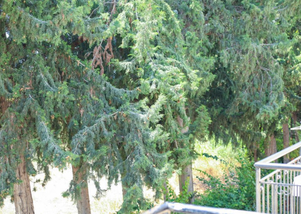 Slnečný dom v radovej zástavbe – Paphos, Cyprus - 5 osôb