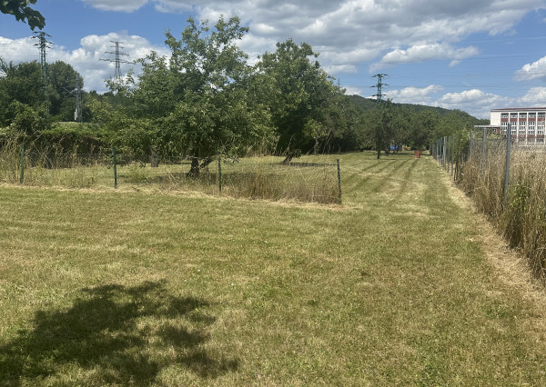 KOLLÁR REALITY ponúka na predaj pozemok v Novom Meste nad Váhom (1554 m2)