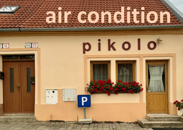 Predaj rodinného domu s 5 samostatnými izbami na námestí v Novom Meste nad Váhom