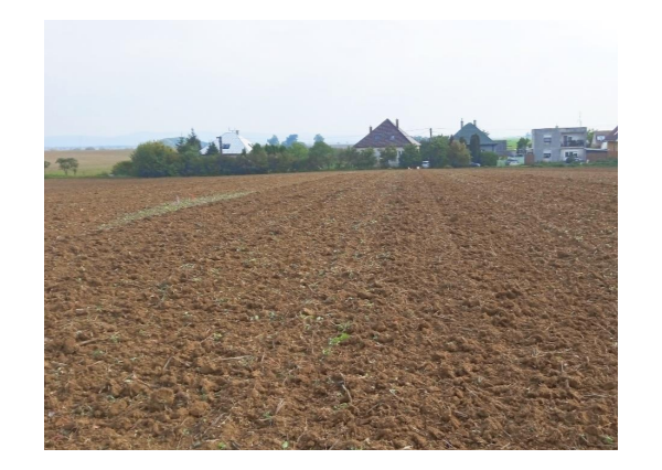 PRIPRAVUJEME NA PREDAJ: POZEMOK V DOLNOM LOPAŠOVE