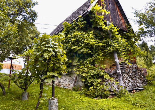 Zrekonštruovaná vidiecka chalupa / rodinný dom na predaj – Lubina, Podkozince