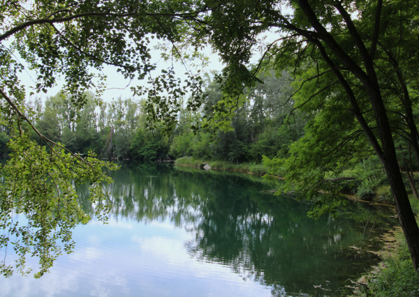 NA PREDAJ - Jazero pri Tomášikove