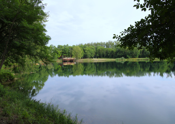 NA PREDAJ - Jazero pri Tomášikove