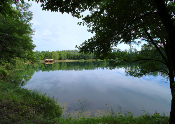 NA PREDAJ - Jazero pri Tomášikove