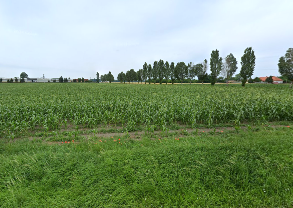 Na predaj pozemok v obci Tomašikovo.