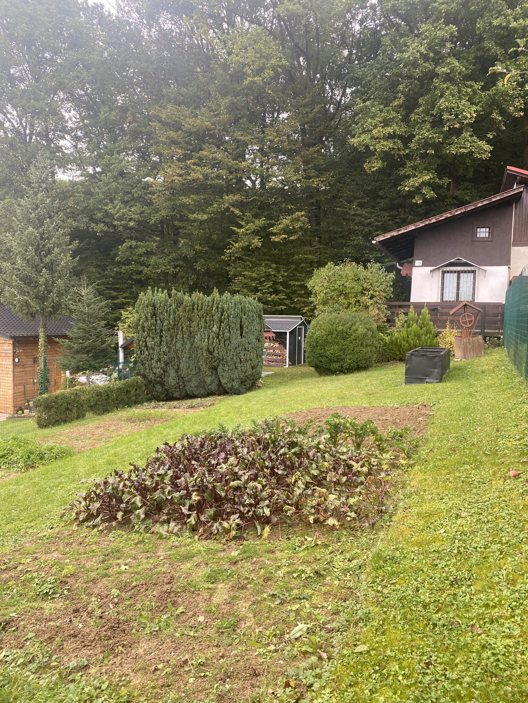 Na predaj - Chata Ilava – 369 m², krásny výhľad